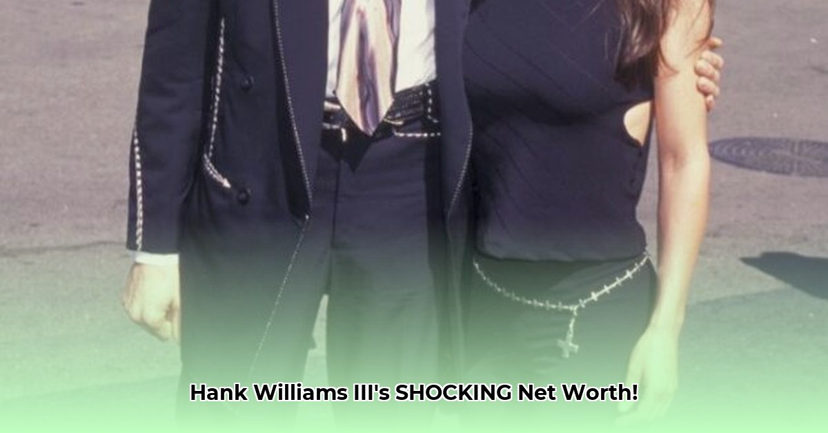 hank-williams-iii-net-worth